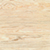 Oak. Ancient Oak