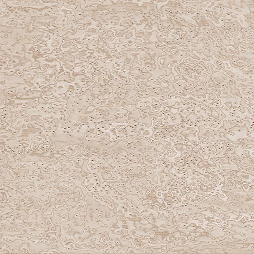 Клён Птичий Глаз 11.07 Sand Erable