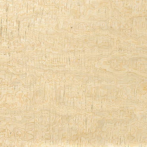 Клён Фризе 10.03 Erable Frise